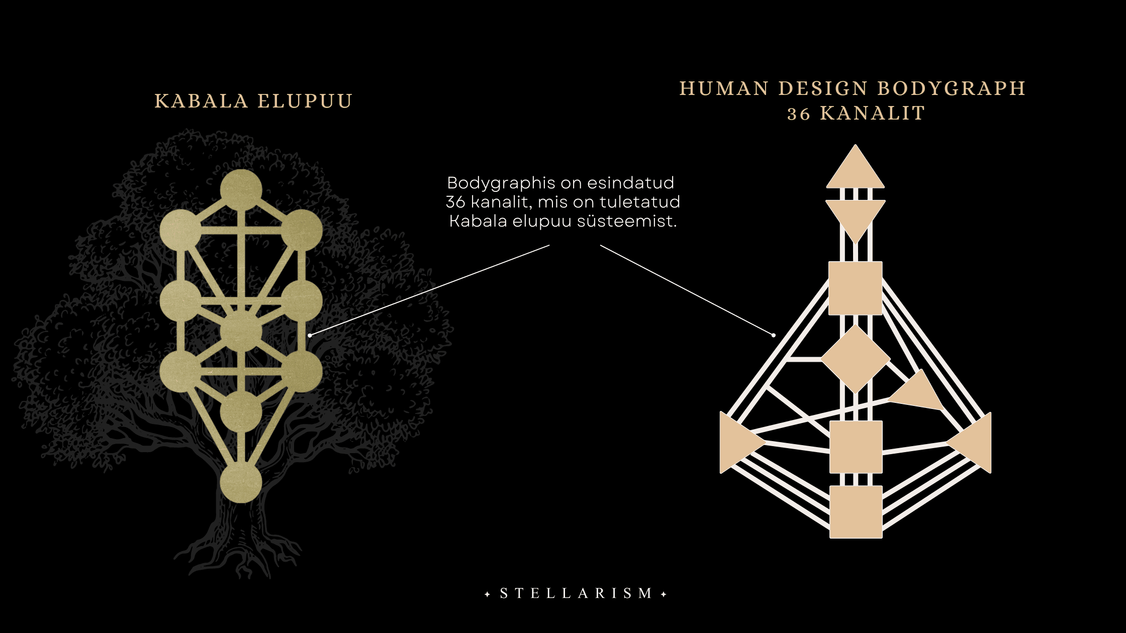 Kabala Elupuu - 36 Human Design Kanalit