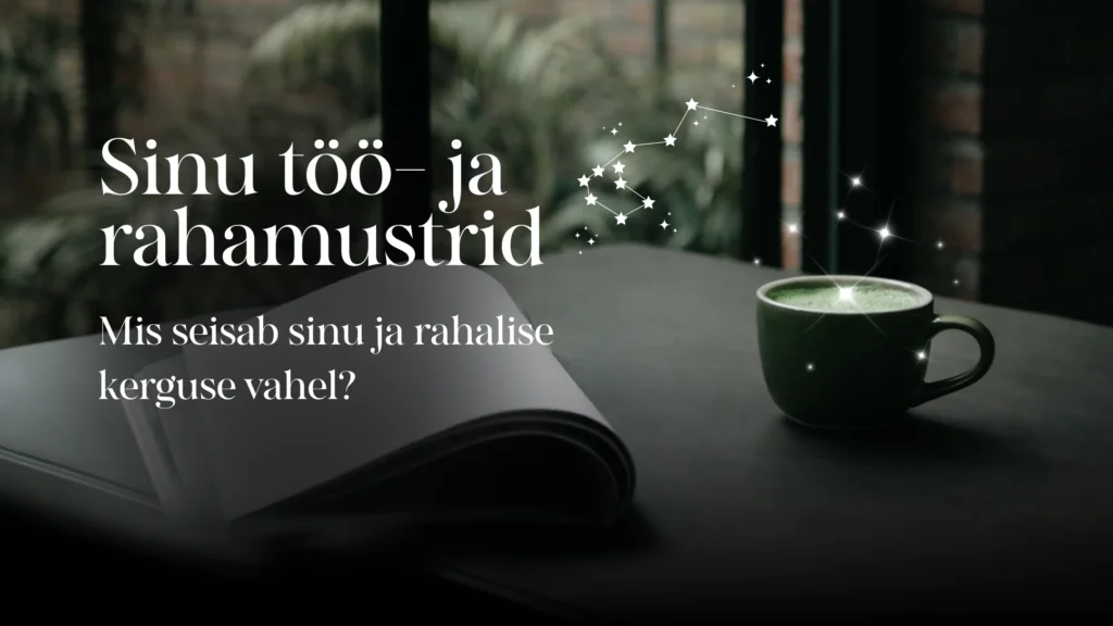 Sinu töö- ja rahamustrid