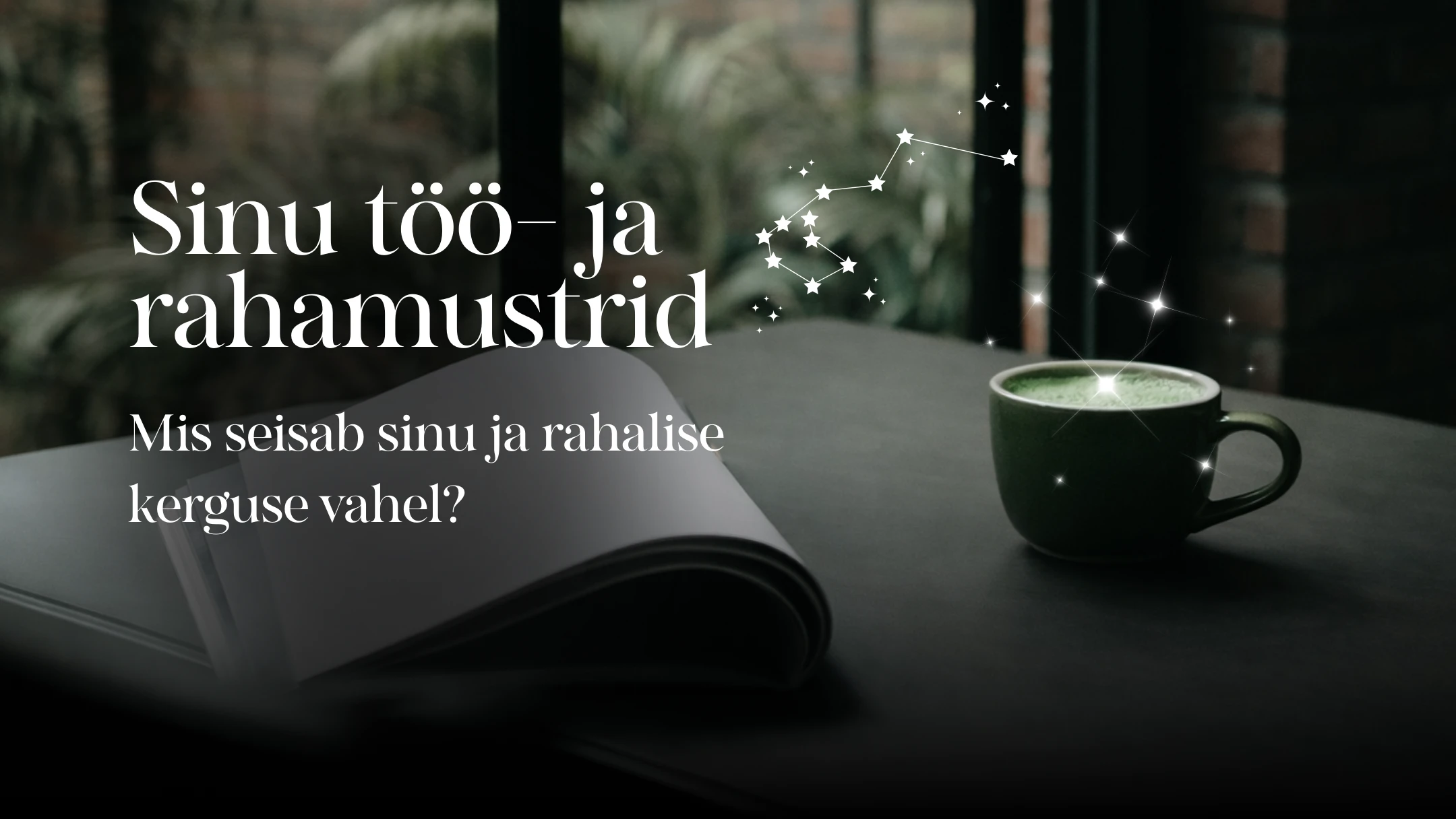 Sinu töö- ja rahamustrid